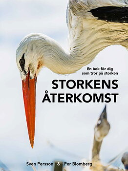 Sven Persson - Storkens återkomst