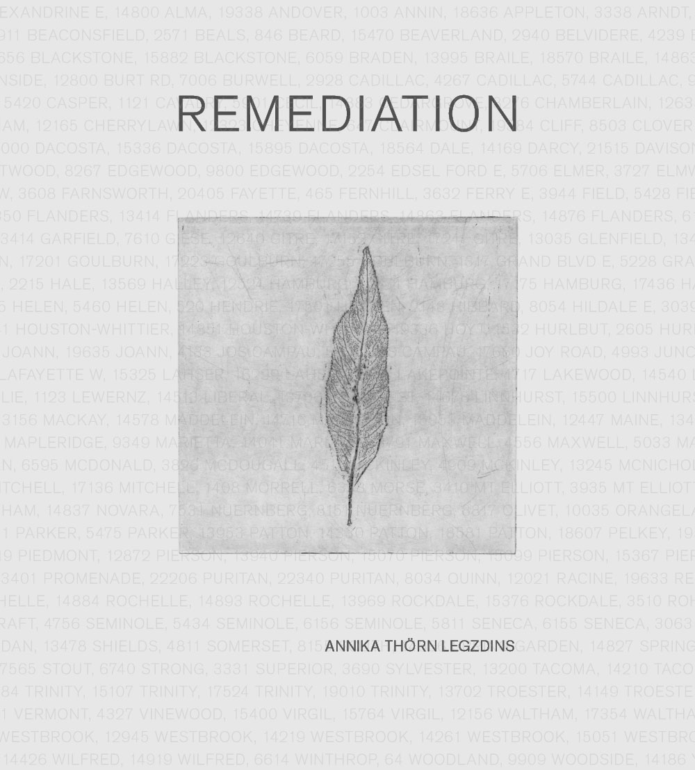 Annika Thörn Legzdins  - Remediation