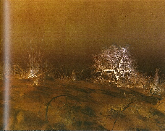 JH Engström - Crash - 5