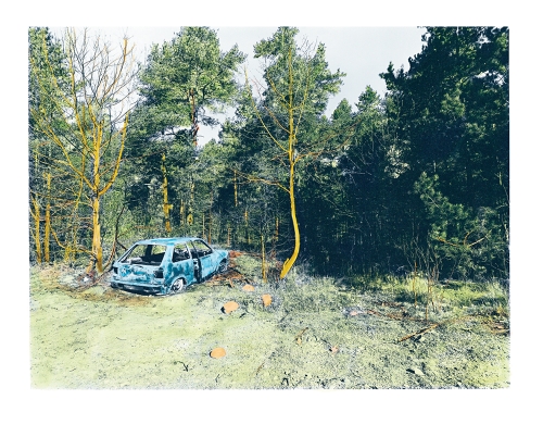 Björn Larsson  - Ett år i Sverige: buskörningar, bilbränder och slaktplatser - 5
