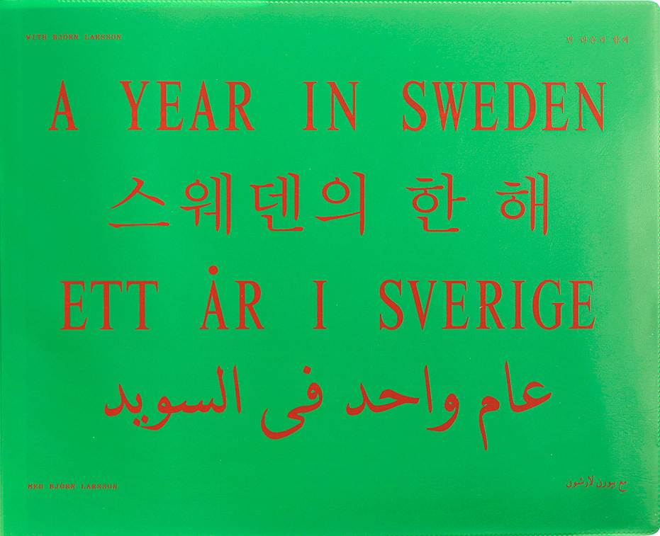 Björn Larsson  - Ett år i Sverige: buskörningar, bilbränder och slaktplatser