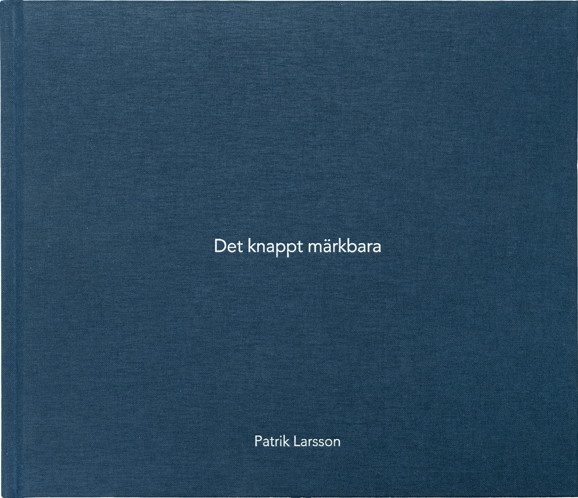 Patrik Larsson - Det knappt märkbara