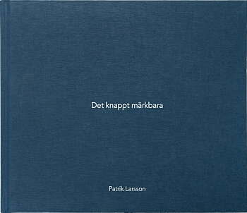 Patrik Larsson - Det knappt märkbara