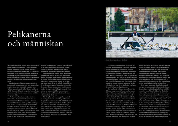 Brutus Östling  • Susanne Åkesson - De krushuvade - 3