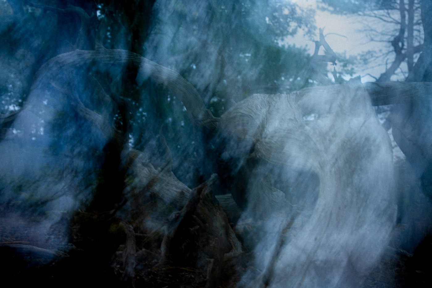 Niklas Storm - Shinrin-yoku  - 7