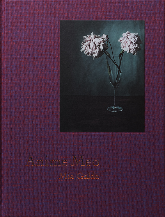 Mia Galde - Anime Meo