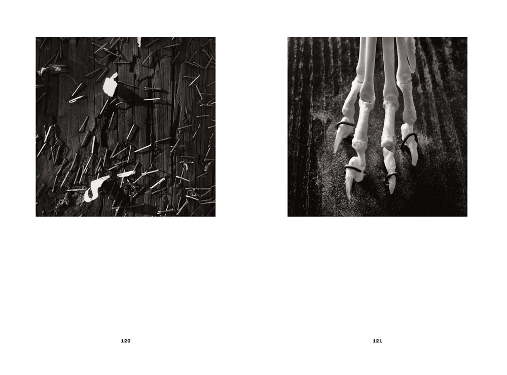 Jerker Andersson - Phone diary XIV - 5