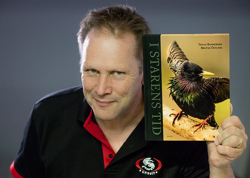 Brutus Östling - I starens tid - 4