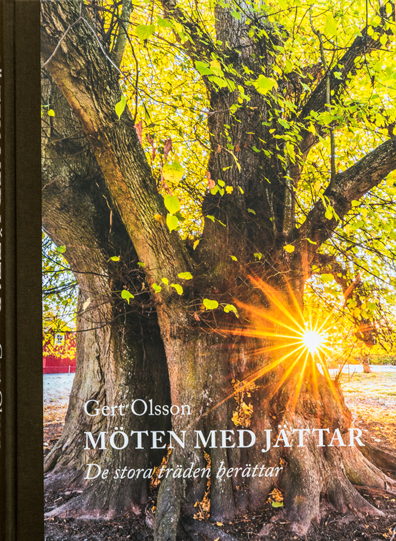 Gert Olsson - Möten med jättar