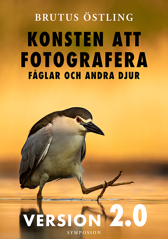 Brutus Östling - Konsten att fotografera fåglar och andra djur : version 2.0
