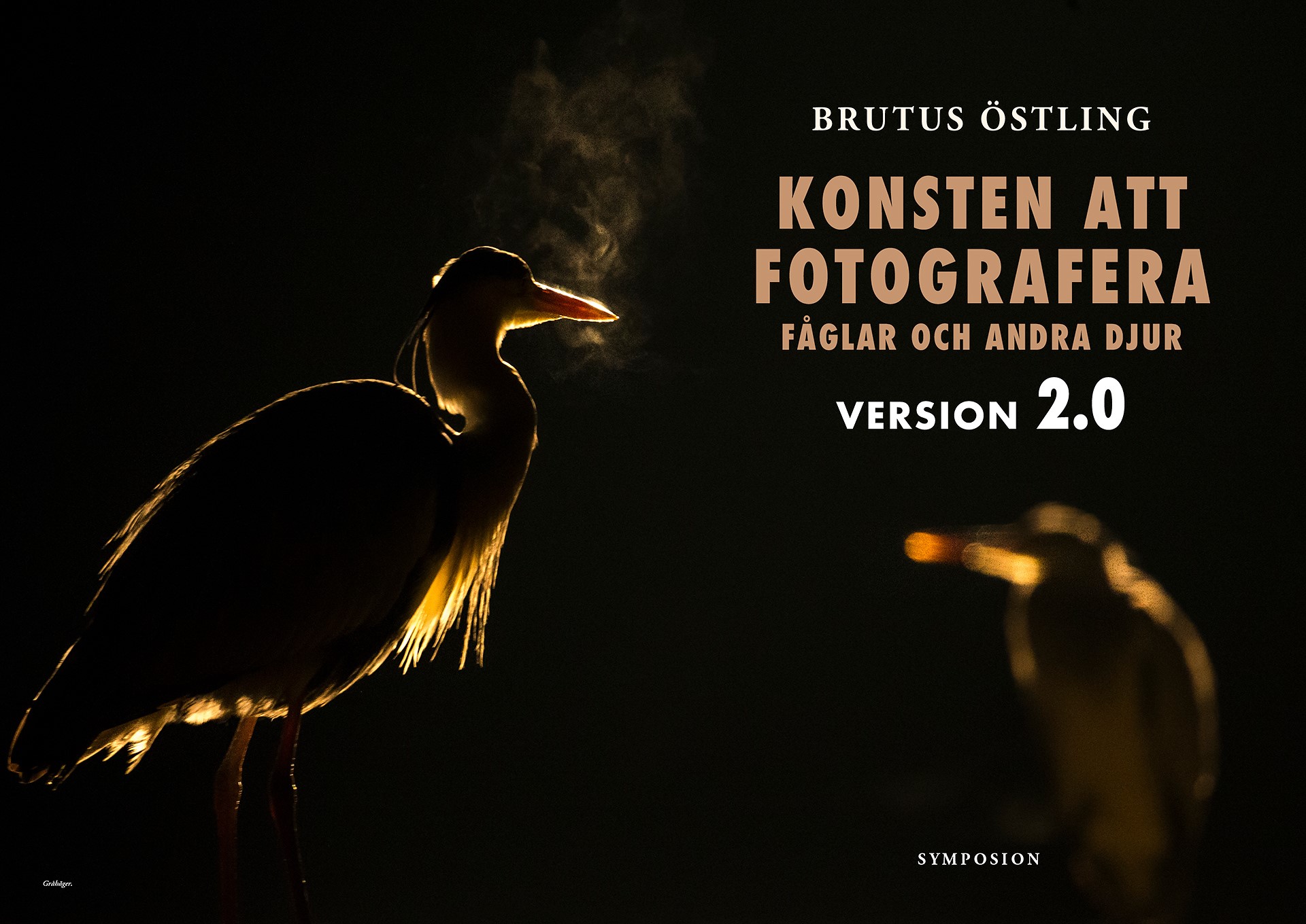 Brutus Östling - Konsten att fotografera fåglar och andra djur : version 2.0 - 2