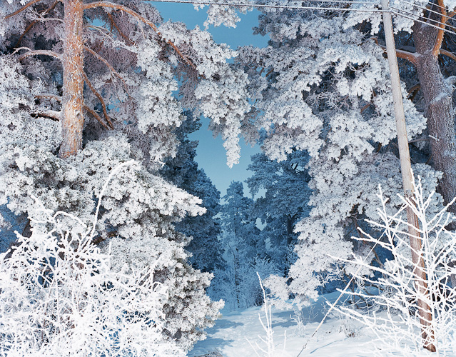 Hans Malm - Sleeping with the Lights on - 6