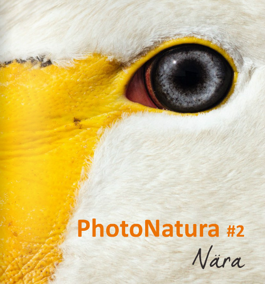 Nära - PhotoNatura #2