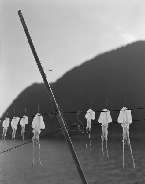 Gerry Johansson - Ehime - 4