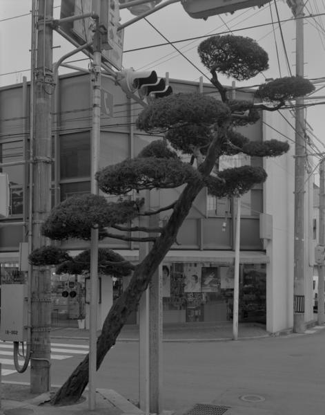Gerry Johansson - Ehime - 6