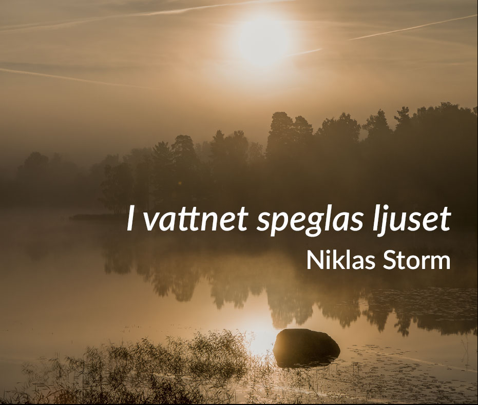 Niklas Storm - I vattnet speglas ljuset