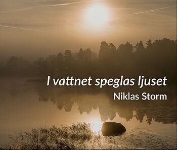 Niklas Storm - I vattnet speglas ljuset