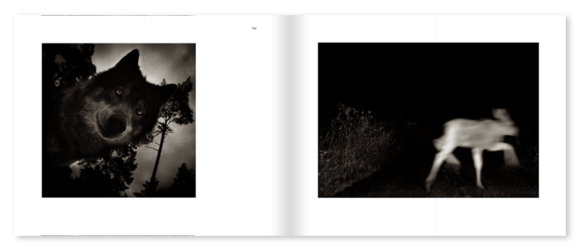 Mats Andersson - Nature Diary - 7