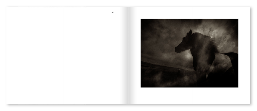 Mats Andersson - Nature Diary - 8