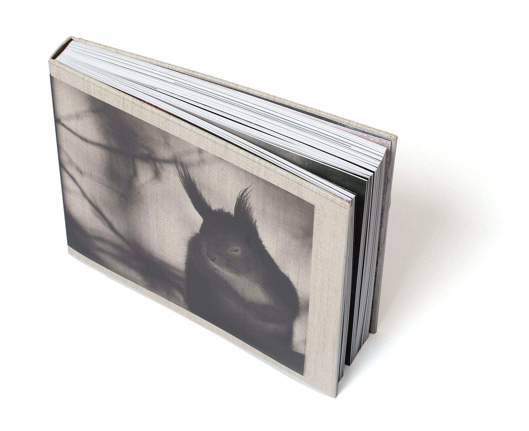 Mats Andersson - Nature Diary - 3