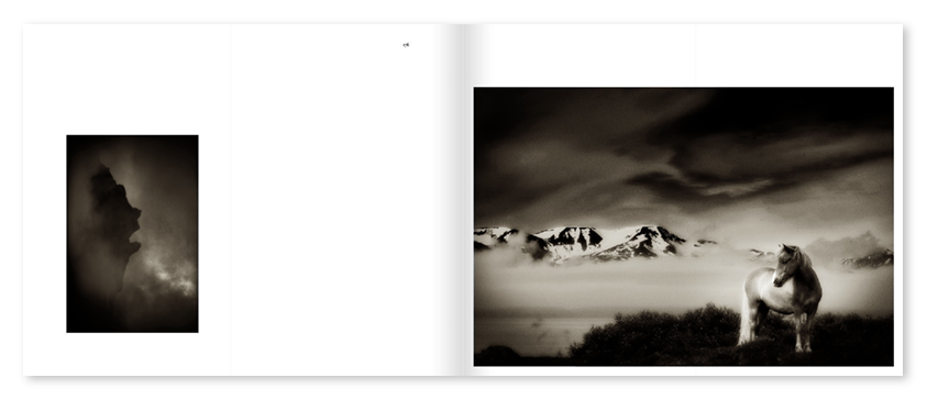 Mats Andersson - Nature Diary - 9