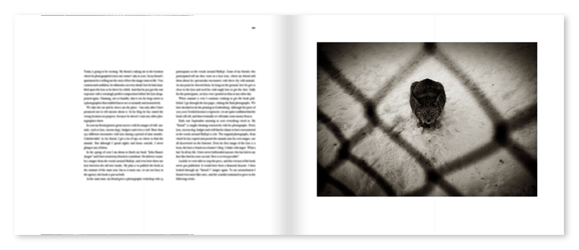 Mats Andersson - Nature Diary - 6