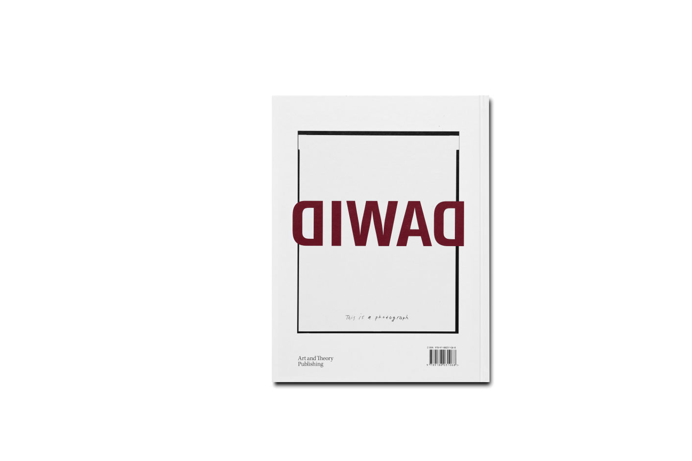Dawid - This Is a Photograph - 4