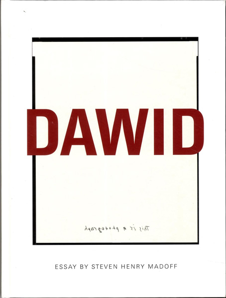 Dawid - This Is a Photograph