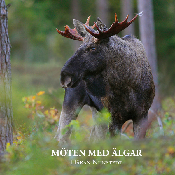 Håkan Nunstedt - Möten med älgar