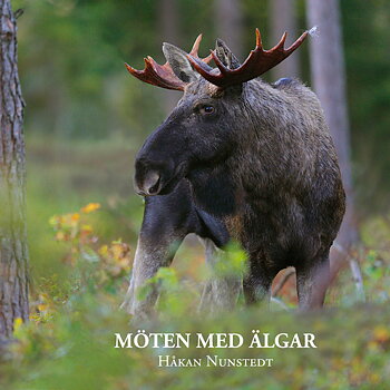 Håkan Nunstedt - Möten med älgar