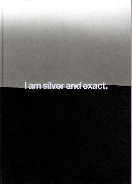 Linda Hofvander - I am silver and exact
