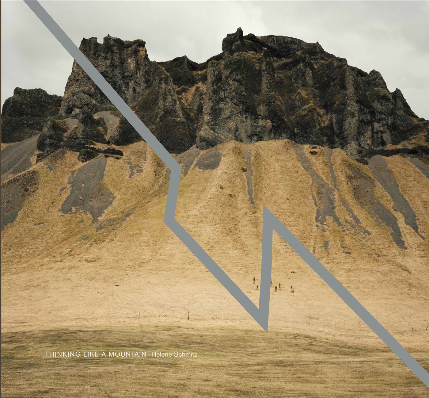 Helene Schmitz - Thinking like a mountain