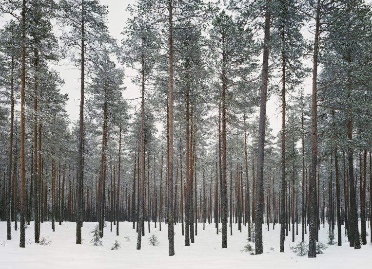 Helene Schmitz - Thinking like a mountain - 6