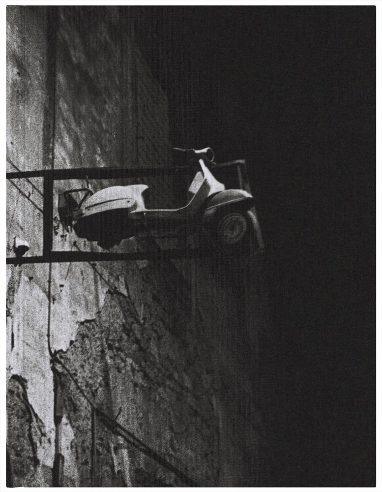 Cristina Ferraiuolo - Stone Butterfly