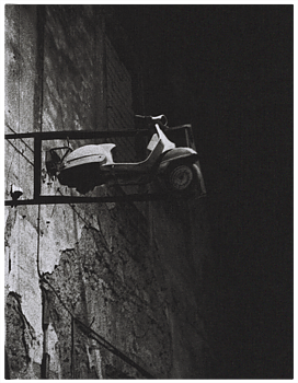 Cristina Ferraiuolo - Stone Butterfly
