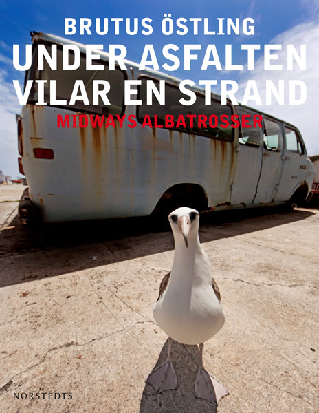 Brutus Östling - Under asfalten vilar en strand