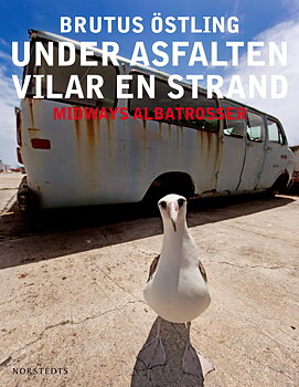 Brutus Östling - Under asfalten vilar en strand
