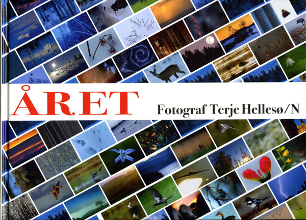 Terje Hellesø - Året
