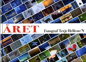 Terje Hellesø - Året