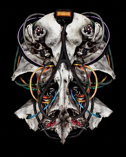 Henrik Isaksson Garnell - Dissonance - 5