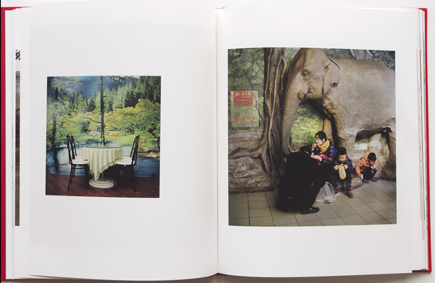Nina Korhonen - Monkey to Monkey - 8