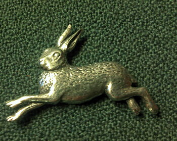 Tennbrosch hare