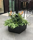 Helecho, planta artificial