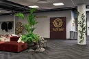 Kentia palmera, planta artificial