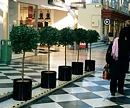 Lagerträd, konstväxt