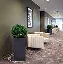 Laurel, planta artificial