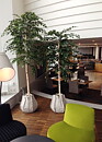 Hilton hotels