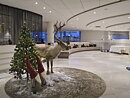 Hilton hotels