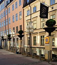 Hilton hotels