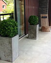 Boj, planta artificial